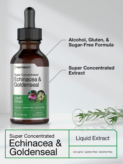 Echinacea Goldenseal Liquid Extract | 2 fl oz | Alcohol Free Tincture Drops | Vegetarian HorbäachBuy Supplements Australia