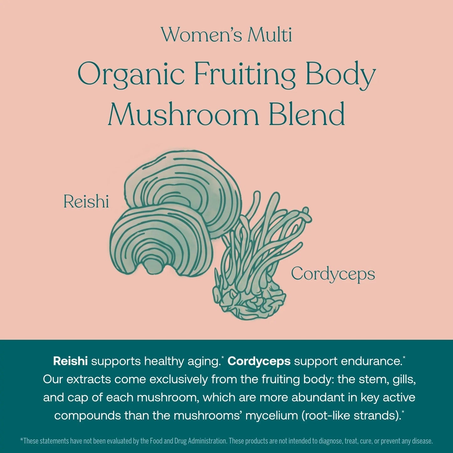 True Grace One Daily Men’s Multivitamin (30 Vegan Tablets) + One Daily Women’s Multivitamin (30 Vegan Tablets) - Non-GMO & Gluten Free - 30-Day Supply of Each True GraceBuy Supplements Australia