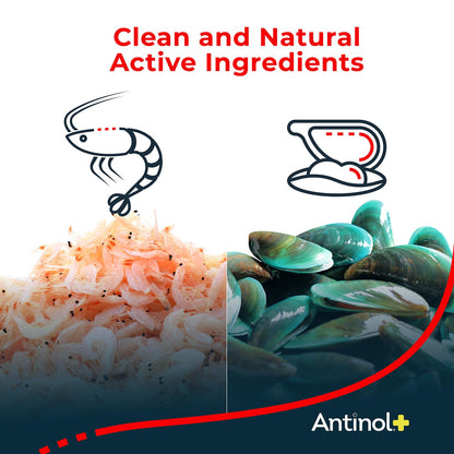 Antinol Plus, Mobility, Hip, and Joint Supplement for Dogs, Green-Lipped Mussels and Krill Oil - Dog Joint Supplement, Better and Faster Than Glucosamine and Chondroitin, 120 Soft Gels AntinolBuy Supplements Australia