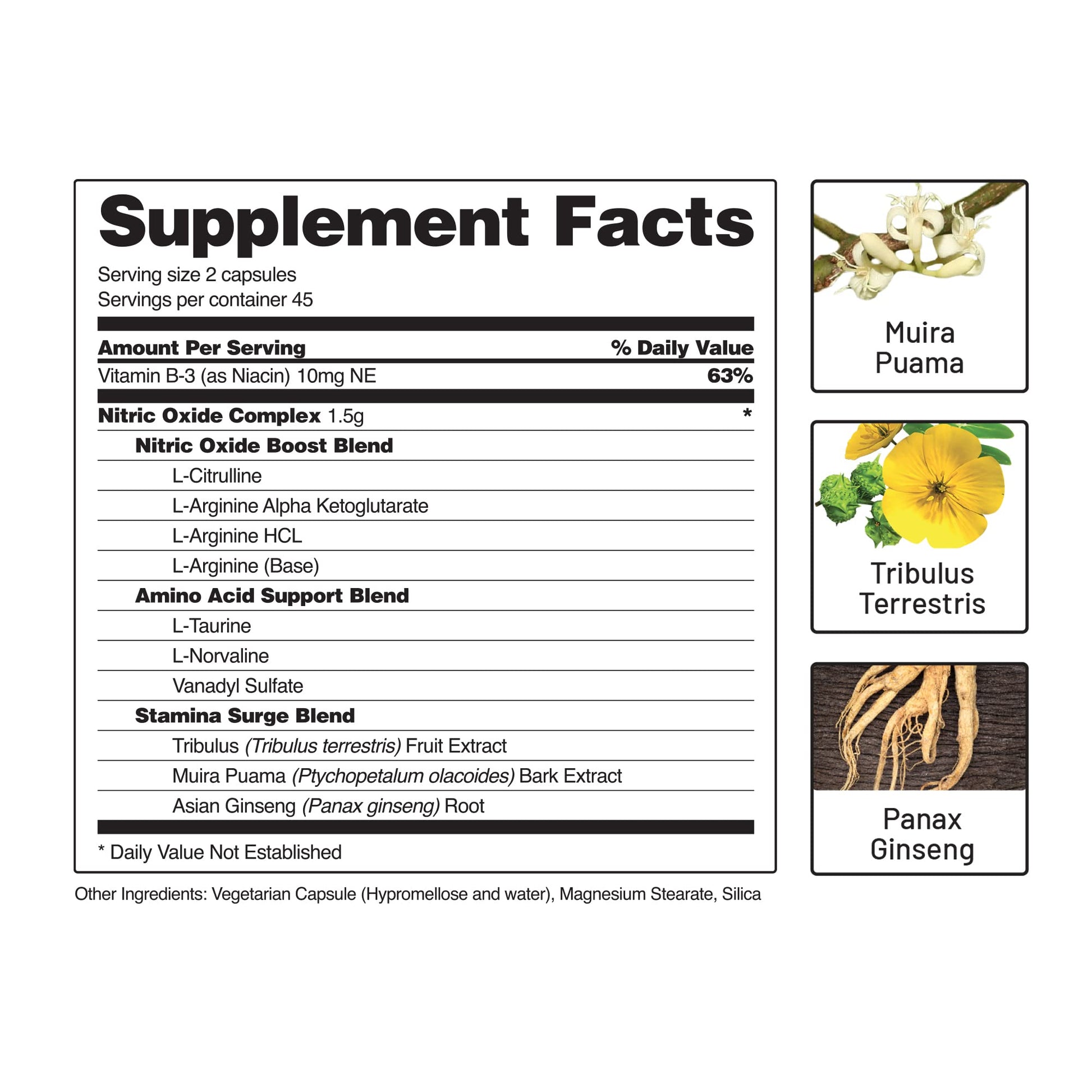 Snap Supplements Nitric Oxide Booster, Nitric Oxide Supplement for Blood Circulation Snap SupplementsBuy Supplements Australia