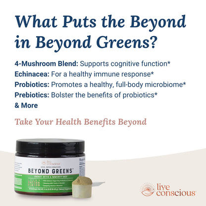 Live Conscious Beyond Greens Concentrated Superfood Powder - Matcha Flavor w/Chlorella, Echinacea, Probiotics for Immune Support & Energy - 30 Servings (2-Pack) Live ConsciousBuy Supplements Australia