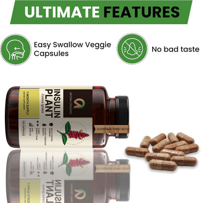 Afiyah Organic - Premium Quality Costus Igneus (Insulin Plant) Capsules - Easy to Swallow 120 Veggie Capsules (1 Month Supply) - Made in the USA - Including Complete Health Support Program Afiyah OrganicBuy Supplements Australia