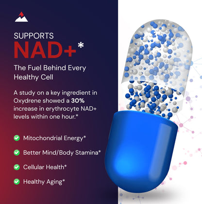 Novex Biotech Oxydrene NAD+ Enhancer - Natural Supplement Promoting Metabolism and Cardiovascular Support for Men and Women - (60 Capsules) Novex BiotechBuy Supplements Australia