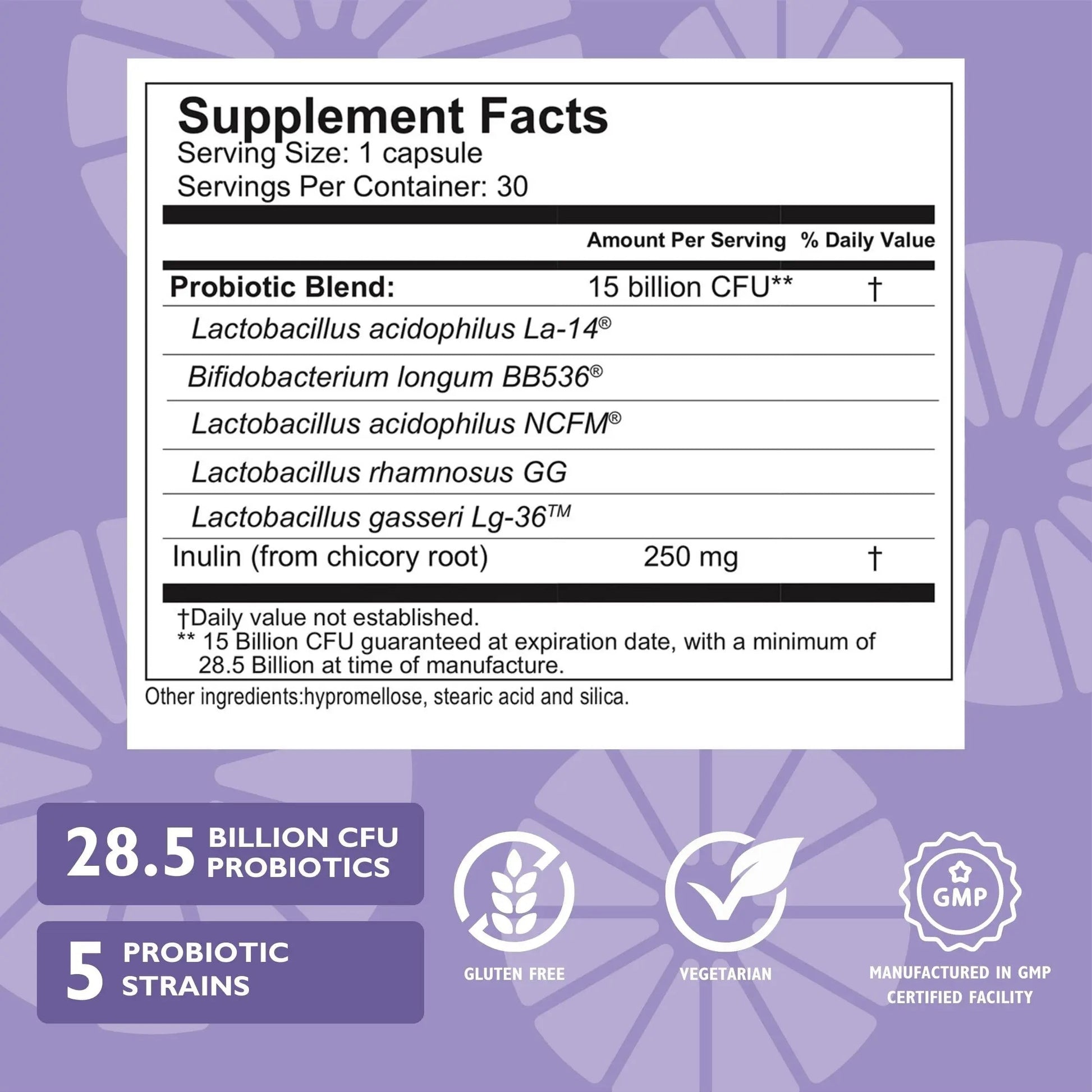 Celebrate Bariatric Essentials Bundle – CelebrateONE Multivitamin, Iron with Vitamin C Chewables, & Balance Probiotic + Prebiotic – Complete Nutritional & Digestive Support for WLS Patients Celebrate Bariatric SupplementsBuy Supplements Australia