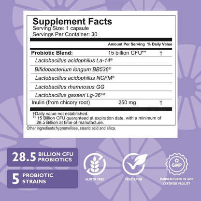 Celebrate Bariatric Essentials Bundle – CelebrateONE Multivitamin, Iron with Vitamin C Chewables, & Balance Probiotic + Prebiotic – Complete Nutritional & Digestive Support for WLS Patients Celebrate Bariatric SupplementsBuy Supplements Australia