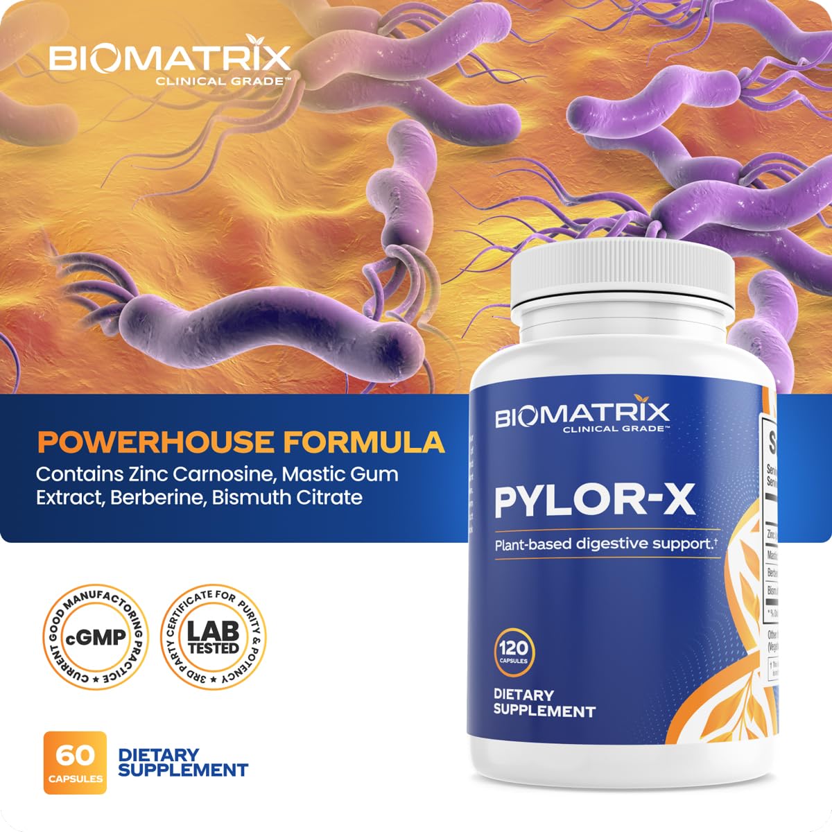 BioMatrix Pylor-X Gut Health Supplement – Mastic Gum, Berberine, Zinc Carnosine & Bismuth Salts for Gastric Support, Digestive Comfort, Stomach Lining Protection - (120 Capsules) 30-60 Day Supply BioMatrixBuy Supplements Australia
