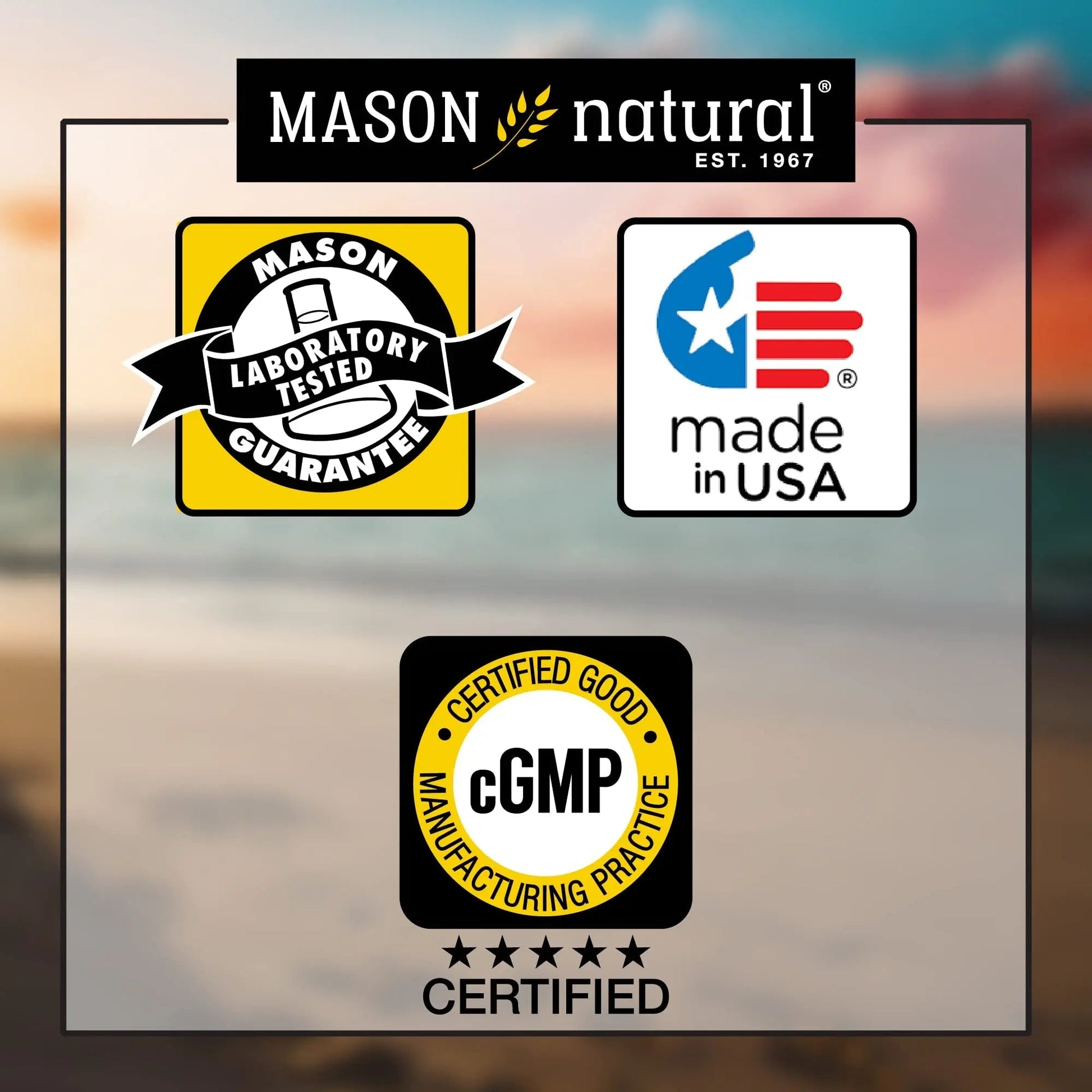 MASON NATURAL, Mens Daily Formula Equivalent to One a Day Mens Brand Tablets - 100 ea MASON NATURAL