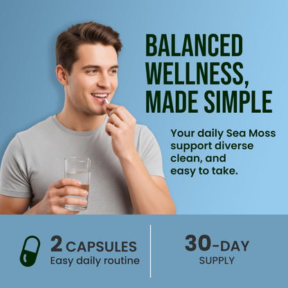 CHARMSVEDA Sea Moss Capsules with Ashwagandha, Bladderwrack & Burdock – Overall Wellness & Immune Support, Support Digestive & Gut Health* – 60 Vegan Capsules CHARMSVEDABuy Supplements Australia