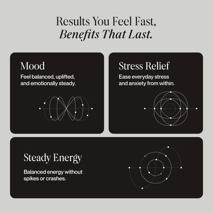 SecondKind Anxiety & Stress Relief Supplement – Saffron & Postbiotic Supplement for Emotional Support – 1000x More Active Ingredients Than Probiotics. Made with BiomeBalance™ in the USA, 60 Capsules SecondKindBuy Supplements Australia