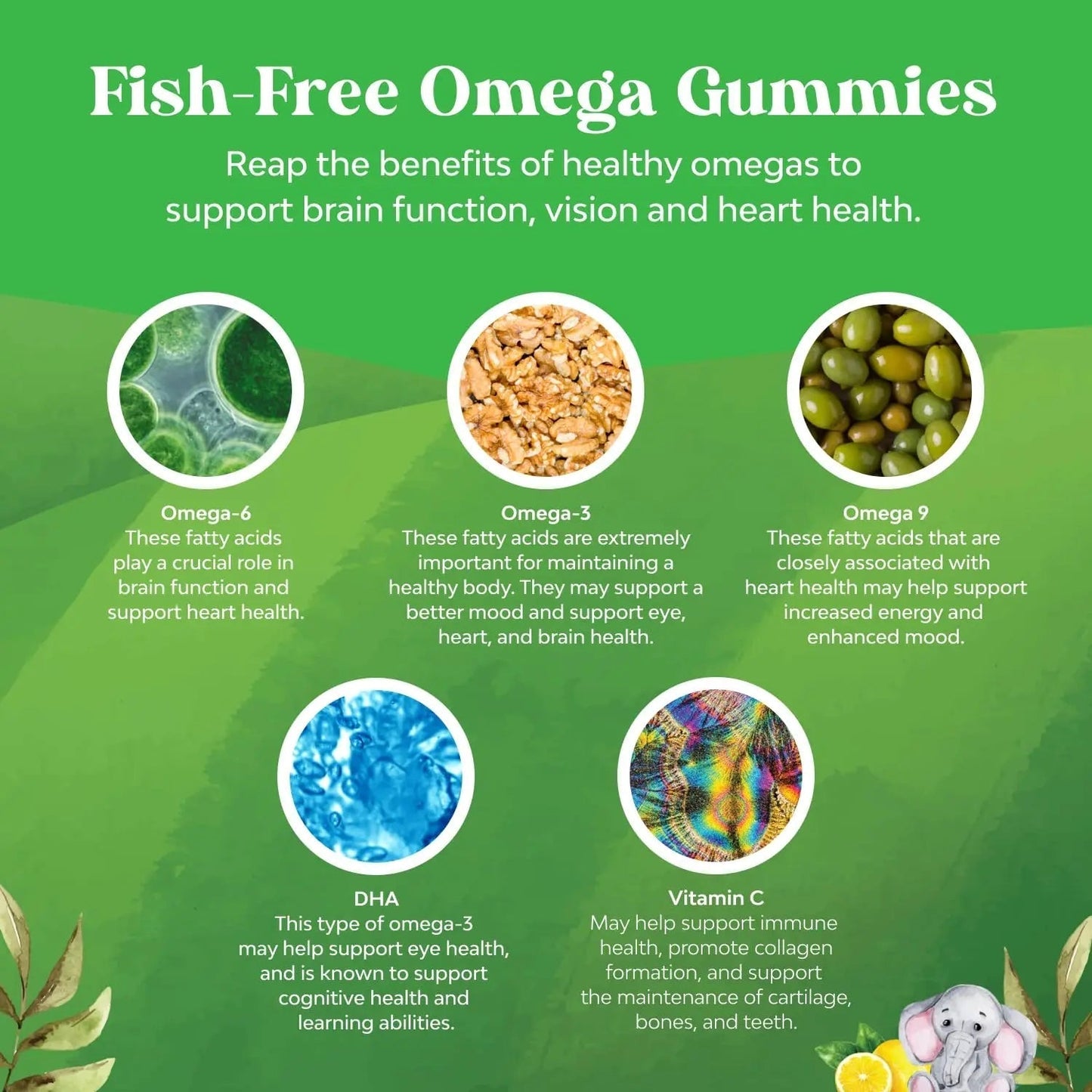 Bundle of Plant Based Kids Multivitamin Gummies with Vitamins A C D3 E B Zinc and DHA Omega 3 Gummies with Vegetarian 6 9 for Vision Brain Immunity Support Natures CraftBuy Supplements Australia
