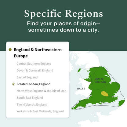 AncestryDNA Genetic Test Kit: Personalized Genetic Results, DNA Ethnicity Test, Origins AncestryDNABuy Supplements Australia