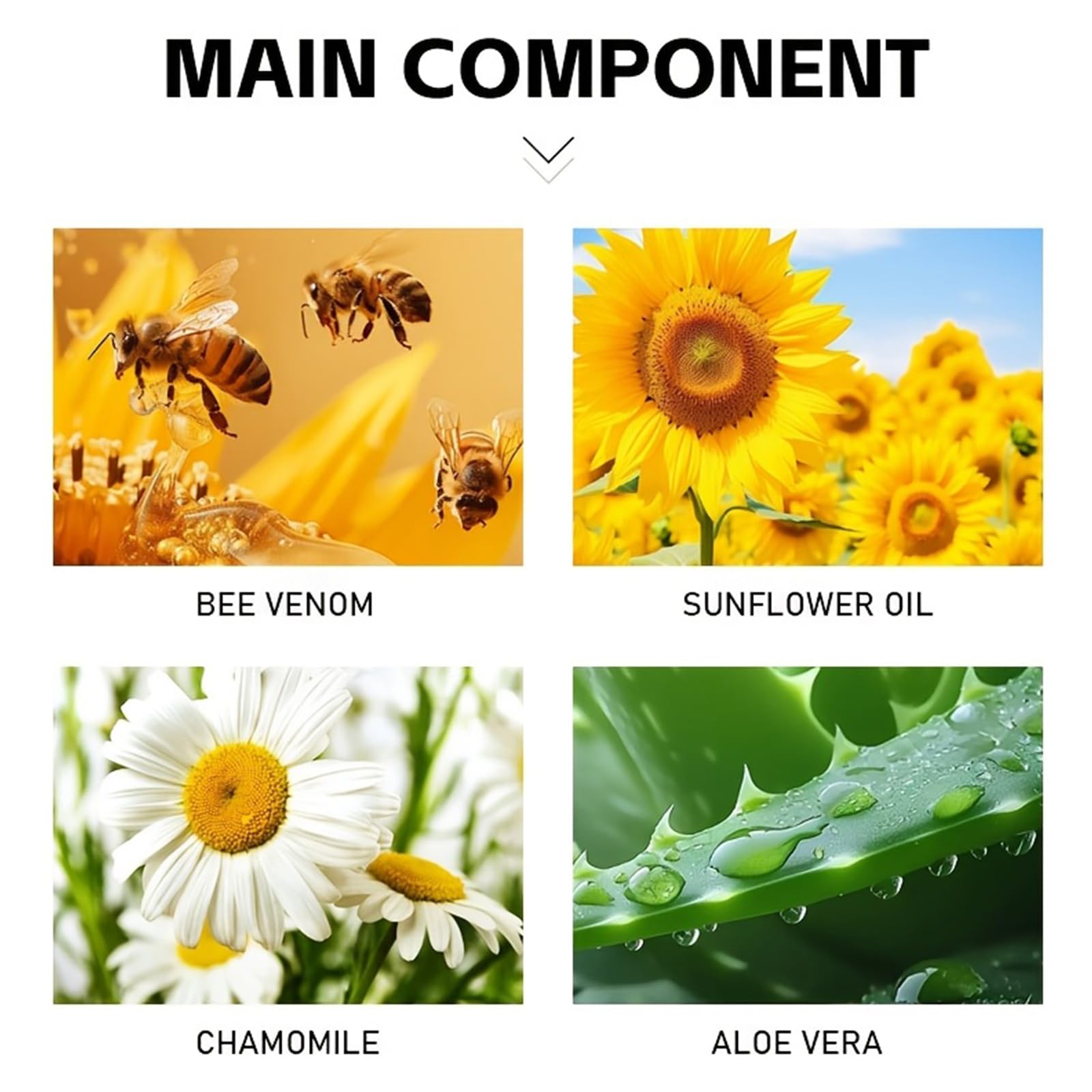 Bee Venom Joint Cream – Advanced Joint Support Cream with Honey & Chamomile, Soothing Formula for Aches & Stiffness in Knees, Hands, Back, Natural Relief Cream for Daily Joint Care (Bee venom) GenericBuy Supplements Australia