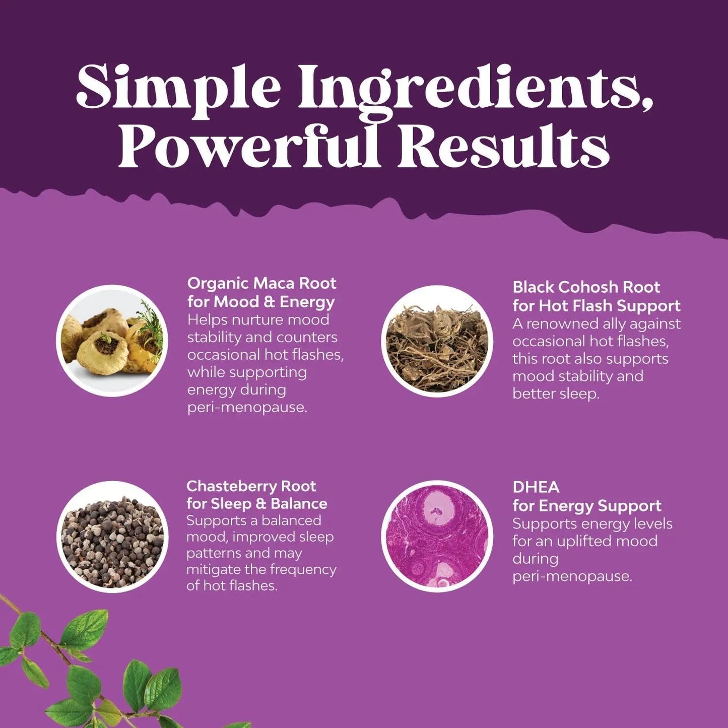 Bundle of Perimenopause Supplement with Maca Root Vitex Berry Black Cohosh for Hot Flashes Night Sweats Hormone Balance Natures CraftBuy Supplements Australia