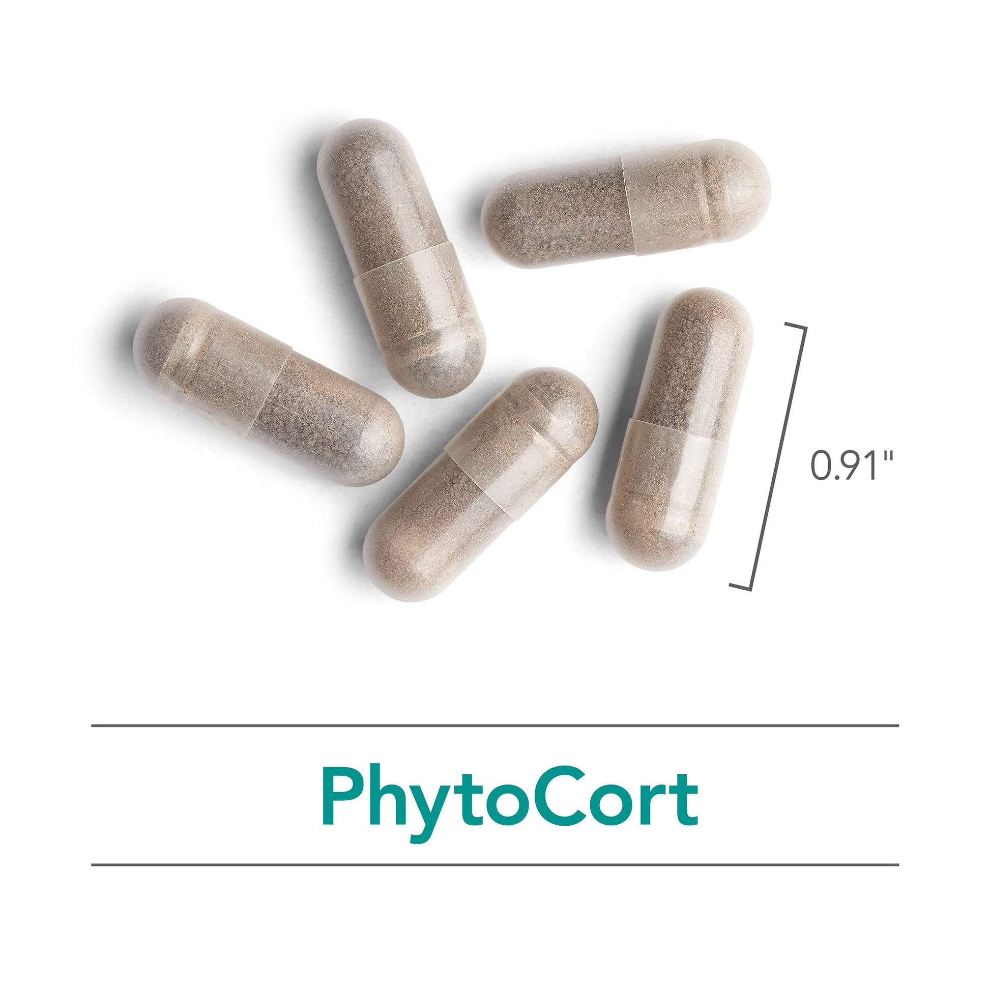 Nutricology PhytoCort Supplement - Respiratory Support, Lung Health, Lung Detox, Lung Cleanse, Healthy Breathing, Herbal Support, Reishi, Licorice, Noni, Vegetarian Capsules - 120 Count NutricologyBuy Supplements Australia