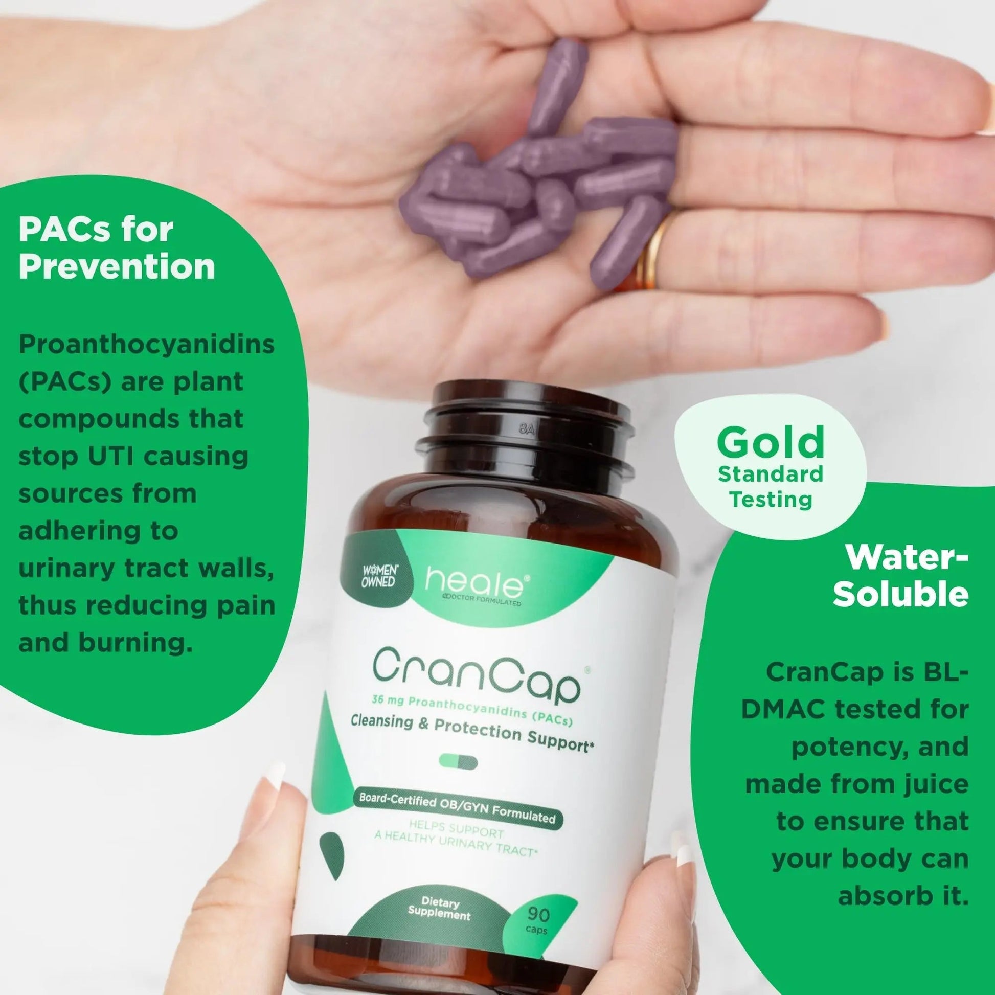 CranCap - Cranberry Pills - Urinary Tract Health Cranberry Supplement - 36mg of Potent PACs - Non GMO, Vegan, Gluten Free - by Heale - 30 Capsules CranCapBuy Supplements Australia