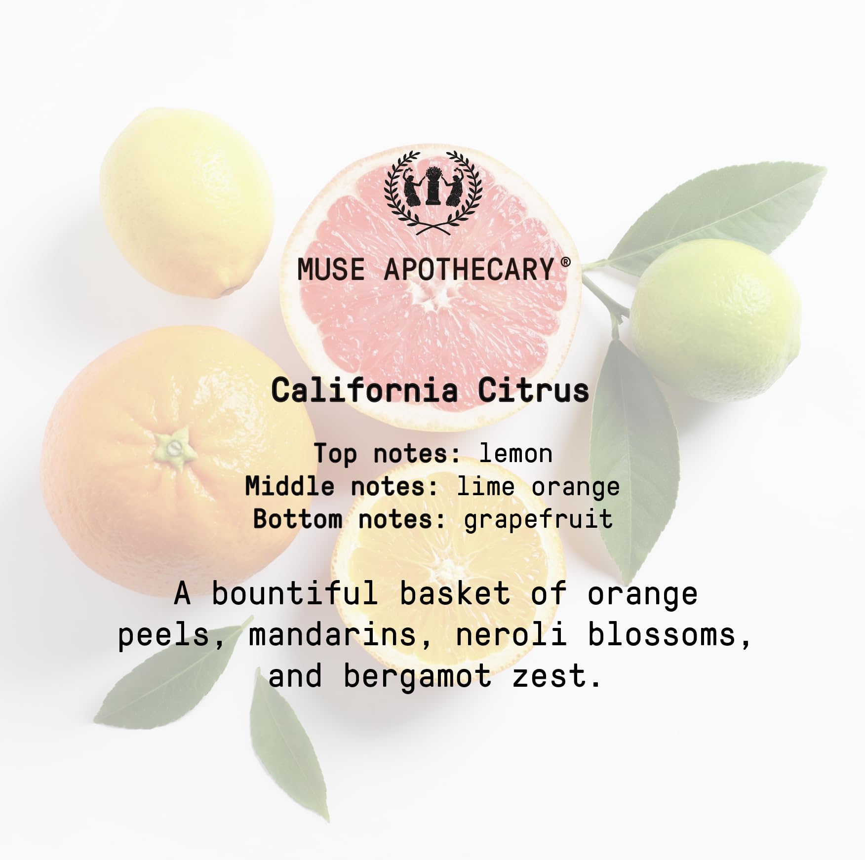 Muse Bath Apothecary Room Ritual - Aromatic and Relaxing Room Mist, 8 oz, Infused Muse ApothecaryBuy Supplements Australia