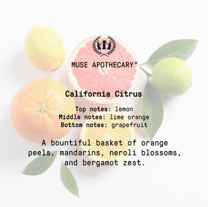 Muse Bath Apothecary Room Ritual - Aromatic and Relaxing Room Mist, 8 oz, Infused Muse ApothecaryBuy Supplements Australia