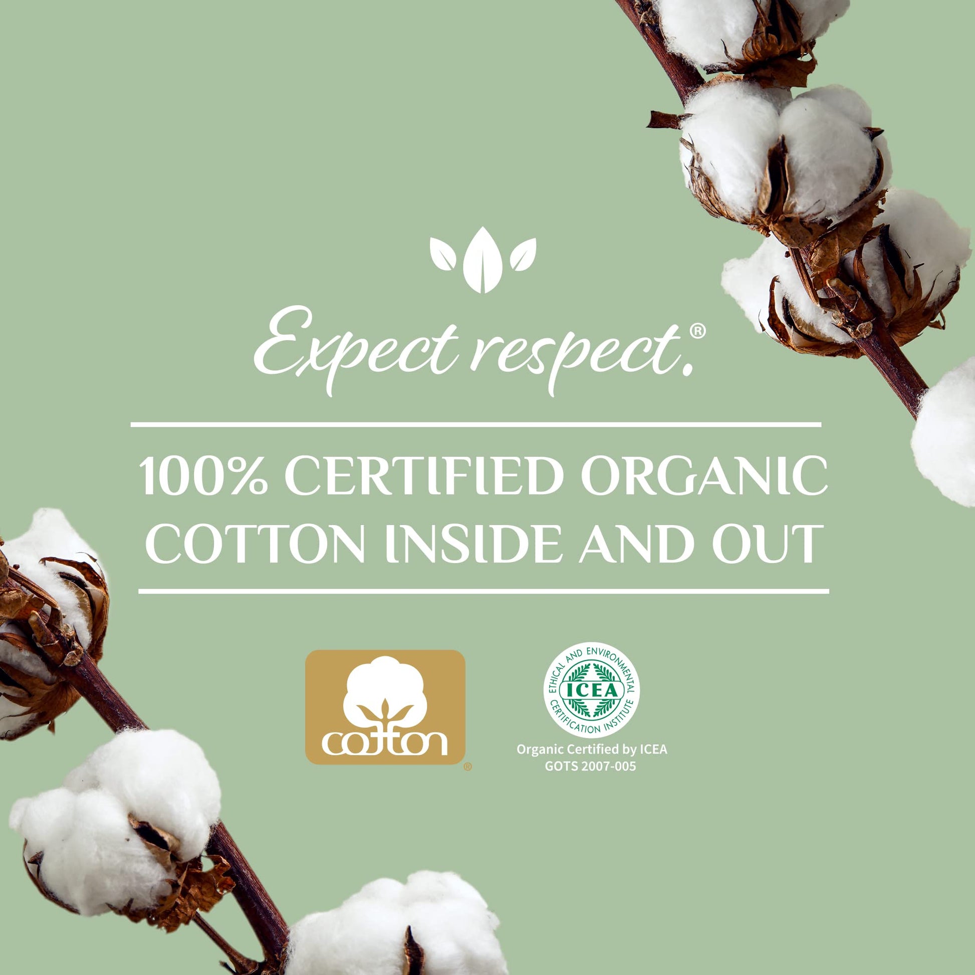 Organyc 100% Certified Organic Cotton Tampons - Cardboard Applicator, Free from Chlorine, Perfumes OrganycBuy Supplements Australia