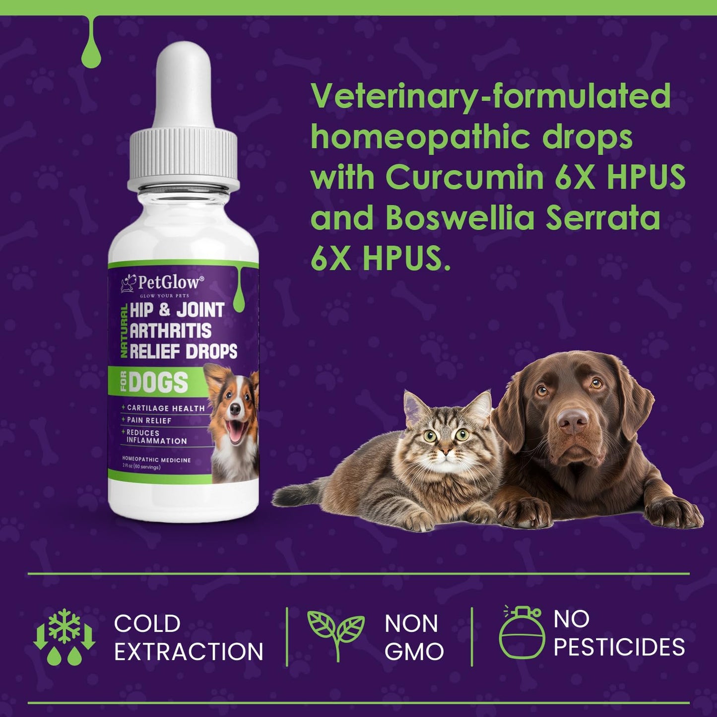Petglow® Natural Hip & Joint Arthritis Relief Drops with Curcumin & Boswellia, Homeopathic Anti-Inflammatory Formula for Dogs, Cats & Horses, Supports Flexibility, Comfort & Mobility Naturally PetglowBuy Supplements Australia