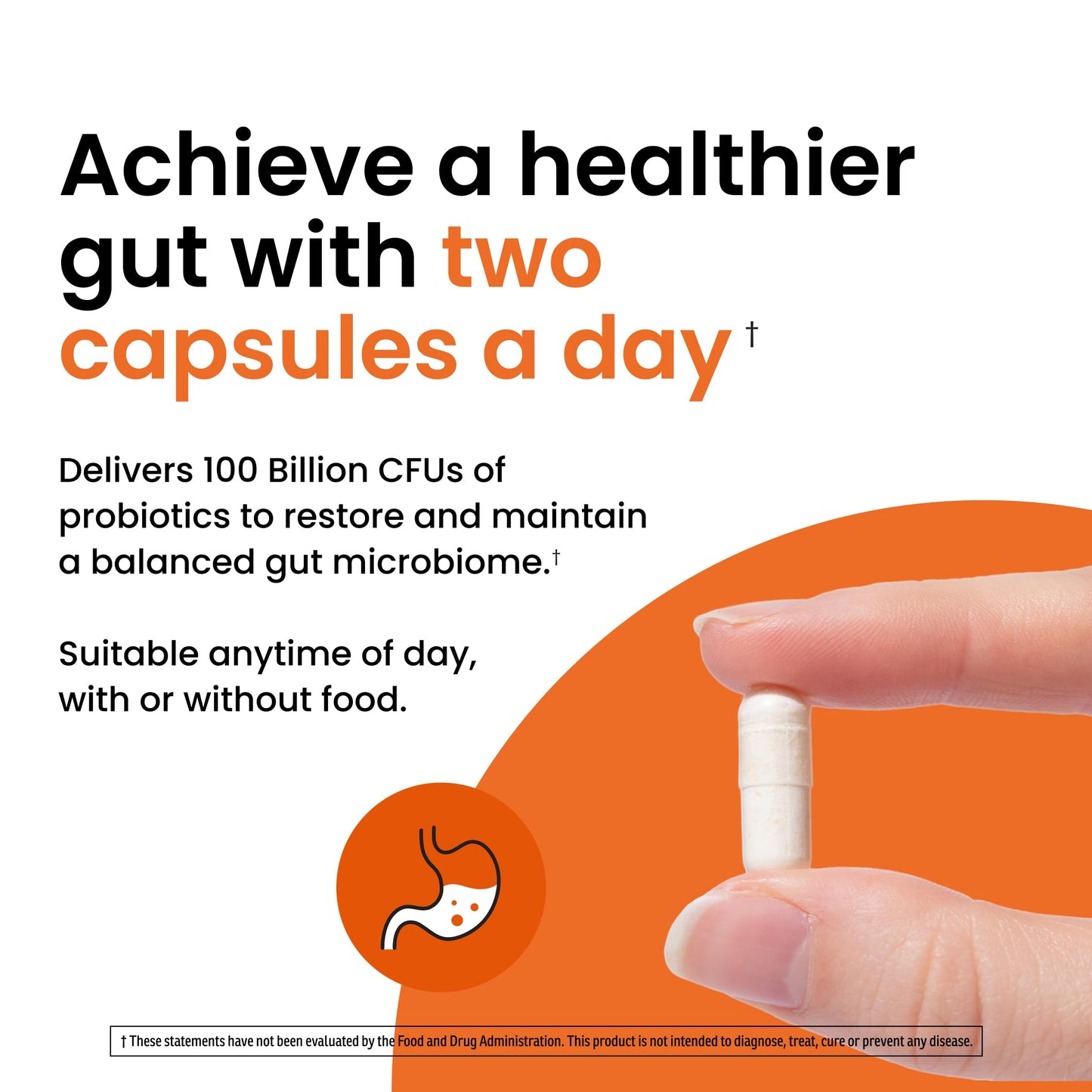 Ombre Healthy Gut Probiotics for Digestive Health 100 Billion CFU - Prebiotics and Probiotics for Women & Men with Lactobacillus Acidophilus & Digestive Enzymes, Gut Health Support, Vegan, 30 Servings OmbreBuy Supplements Australia