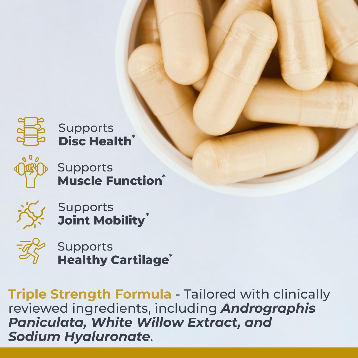 Premier Research Labs Joint & Disc Support Supplement - for Men & Women, Glucosamine, Joint Mobility and Muscle Health, Cartilage Repair, Gluten Free, Plant-Sourced - 90 Capsules Premier Research LabsBuy Supplements Australia