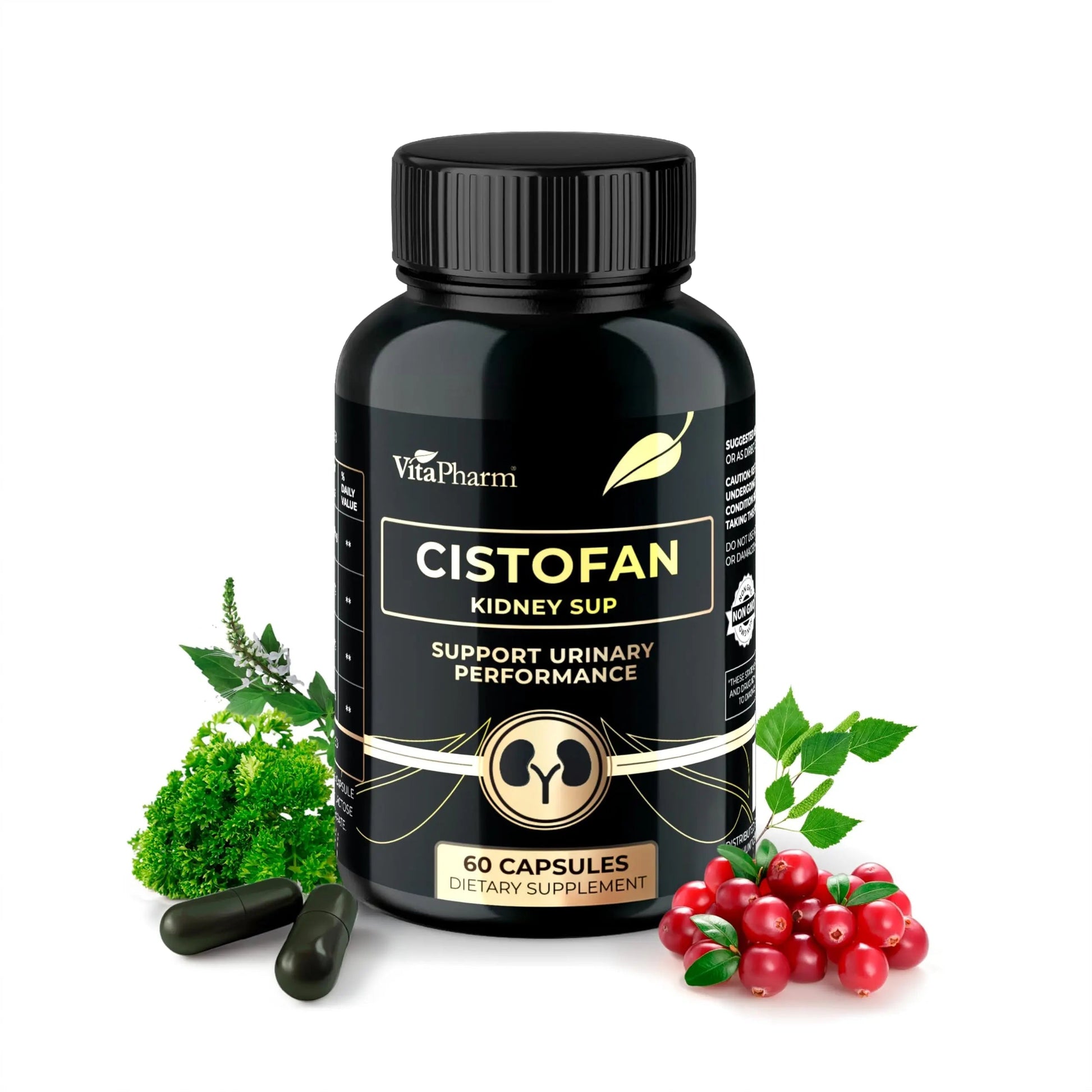 CISTOFAN Kidney Support Supplement – Herbal Formula with Java Tea, Birch Leaf, Parsley & Cranberry – Supports Urinary Tract & Kidney Function – Natural Diuresis – 60 Capsules – Non-GMO – Made in EU VitaPharmBuy Supplements Australia