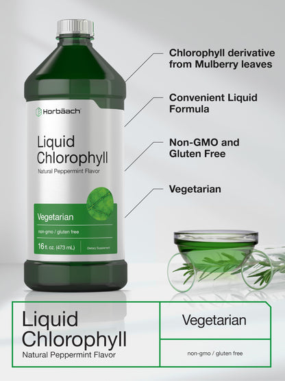 Chlorophyll Liquid Drops 100mg | 32 oz (2 x 16 oz Bottles) | Natural Peppermint Flavor HorbäachBuy Supplements Australia