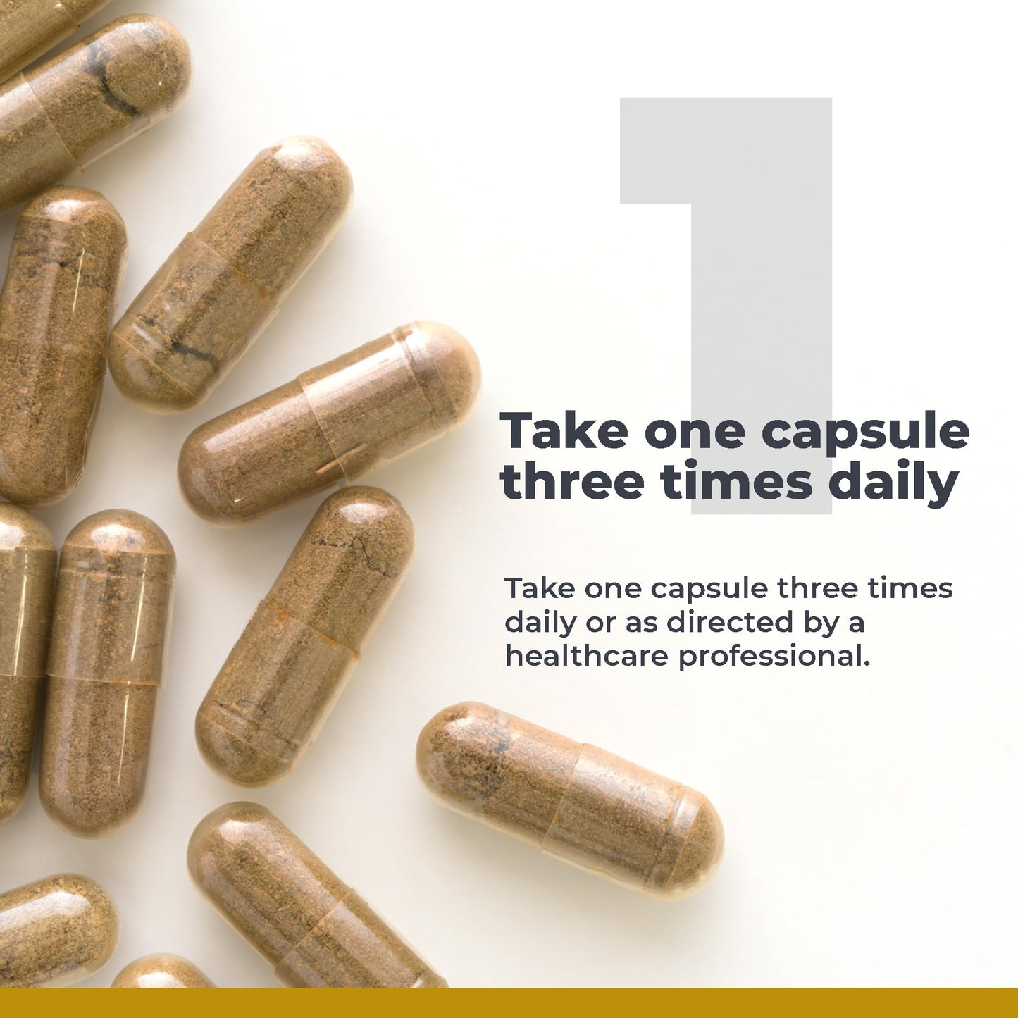 Premier Research Labs RenaVen - Premier Kidney Support for Kidney Cleanse Detox and Repair | Improve Kidney Function and Urinary Support with Fermented Cordyceps - 60 Plant-Source Capsules Premier Research LabsBuy Supplements Australia