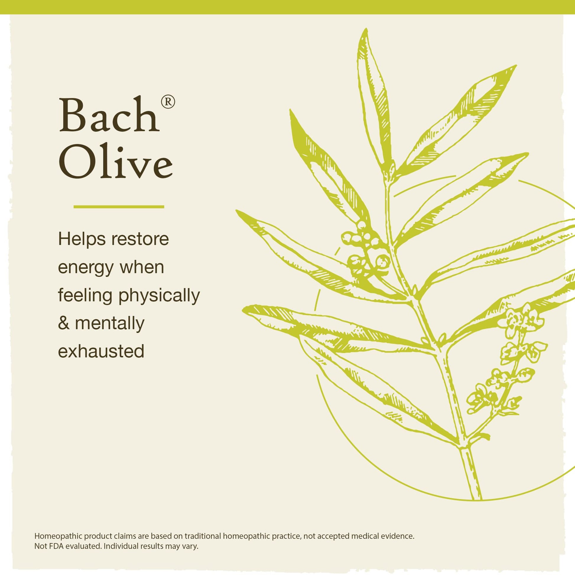 Bach Original Flower Remedies, Olive for Energy (Non-Alcohol Formula), Natural Homeopathic Flower BachBuy Supplements Australia