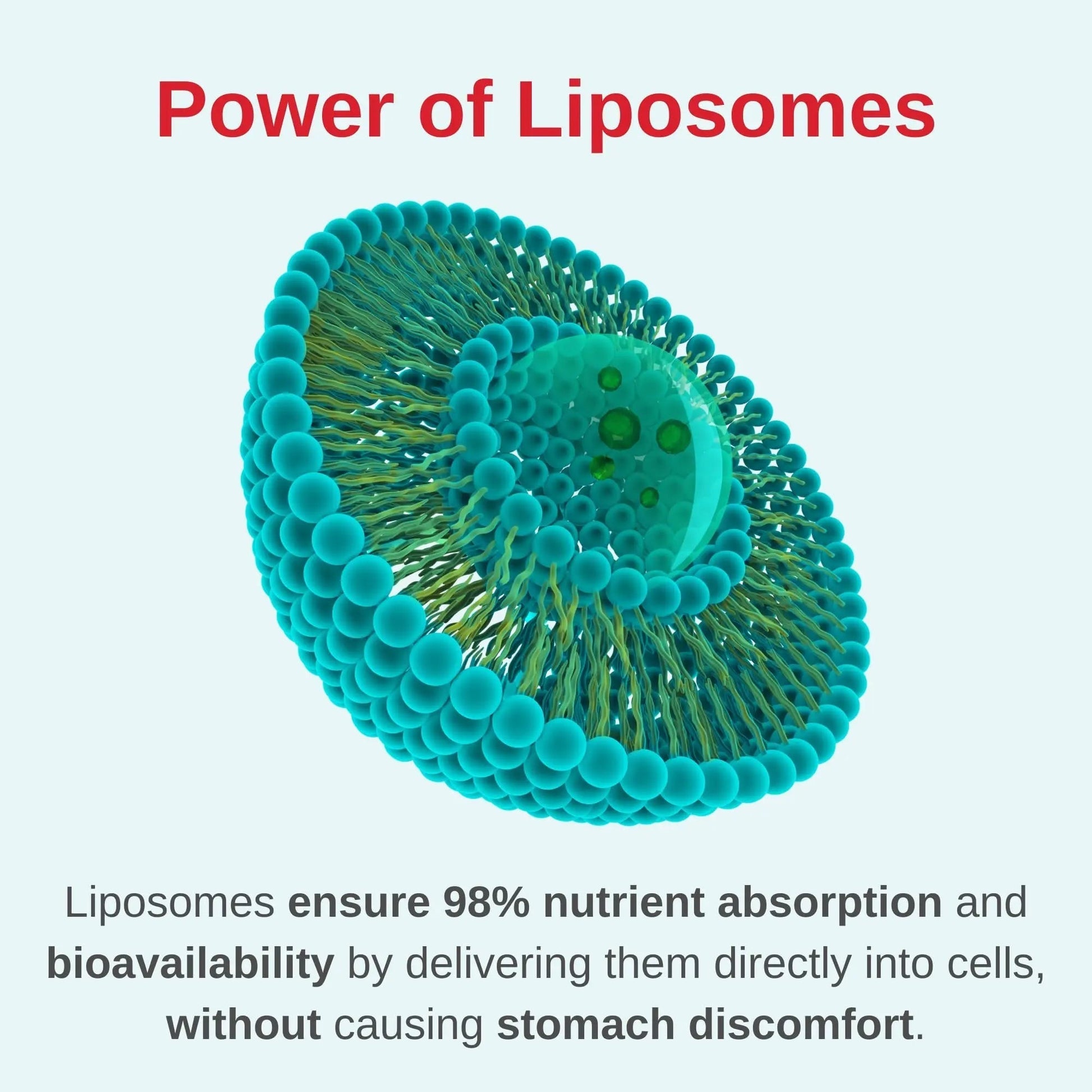 Vitaminally Liposomal Women's Liquid multivitamin Iron Free Drops| Sugar Free | Non-GMO | Gluten Free | Supports Immune System, Bone Health and Energy Metabolism VitaminallyBuy Supplements Australia