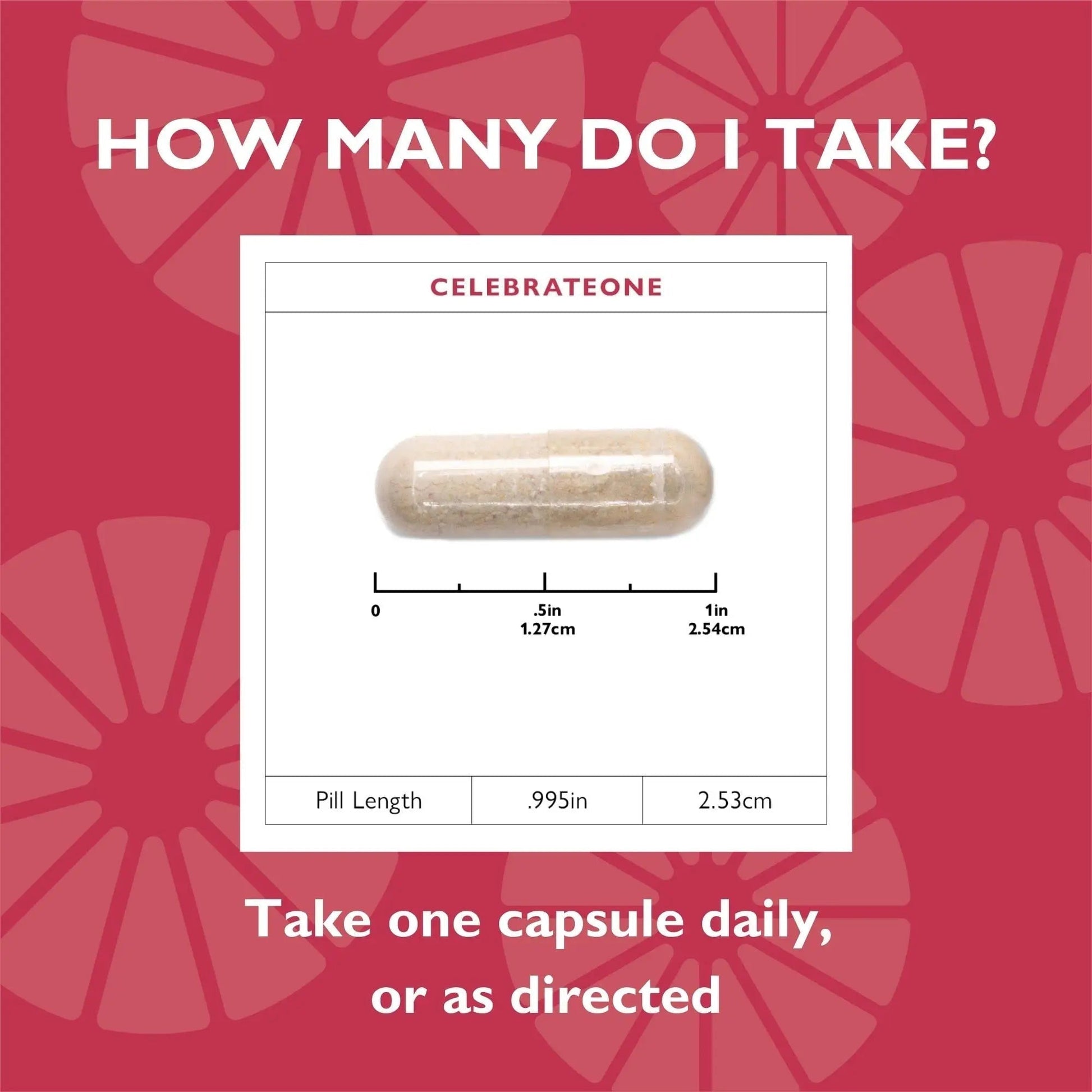 Celebrate Vitamins CelebrateONE, Iron Free - Once Daily Bariatric Multivitamin, Essential Vitamins & Minerals Celebrate Bariatric SupplementsBuy Supplements Australia