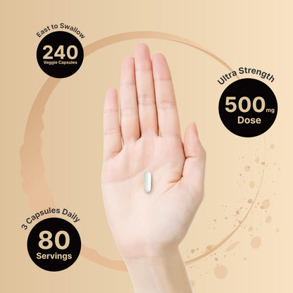 NatureBell Magnesium Glycinate 500mg Per Serving | 240 Veggie Capsule, 100% Chelated NatureBellBuy Supplements Australia