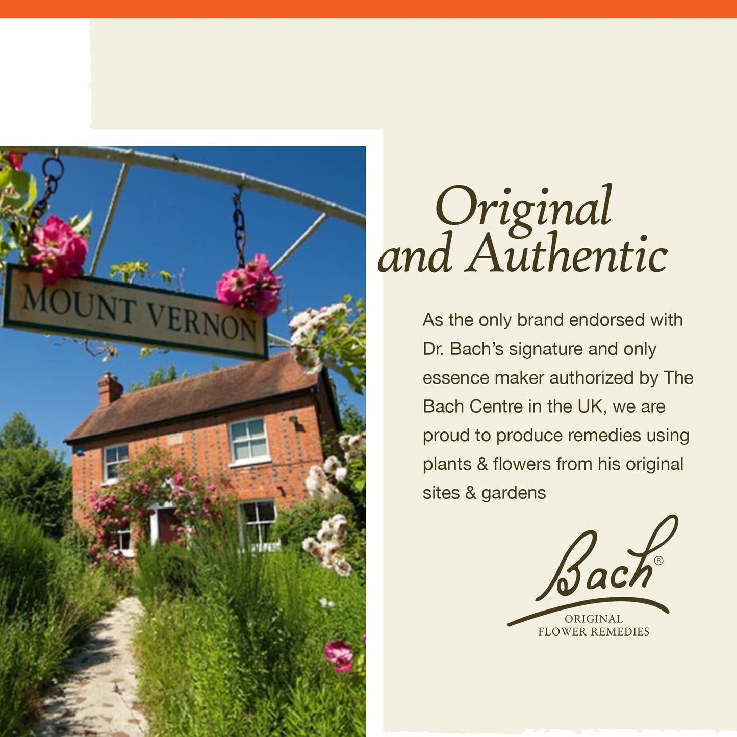 Bach Original Flower Remedies, Red Chestnut for Peace of Mind (Non-Alcohol Formula) BachBuy Supplements Australia
