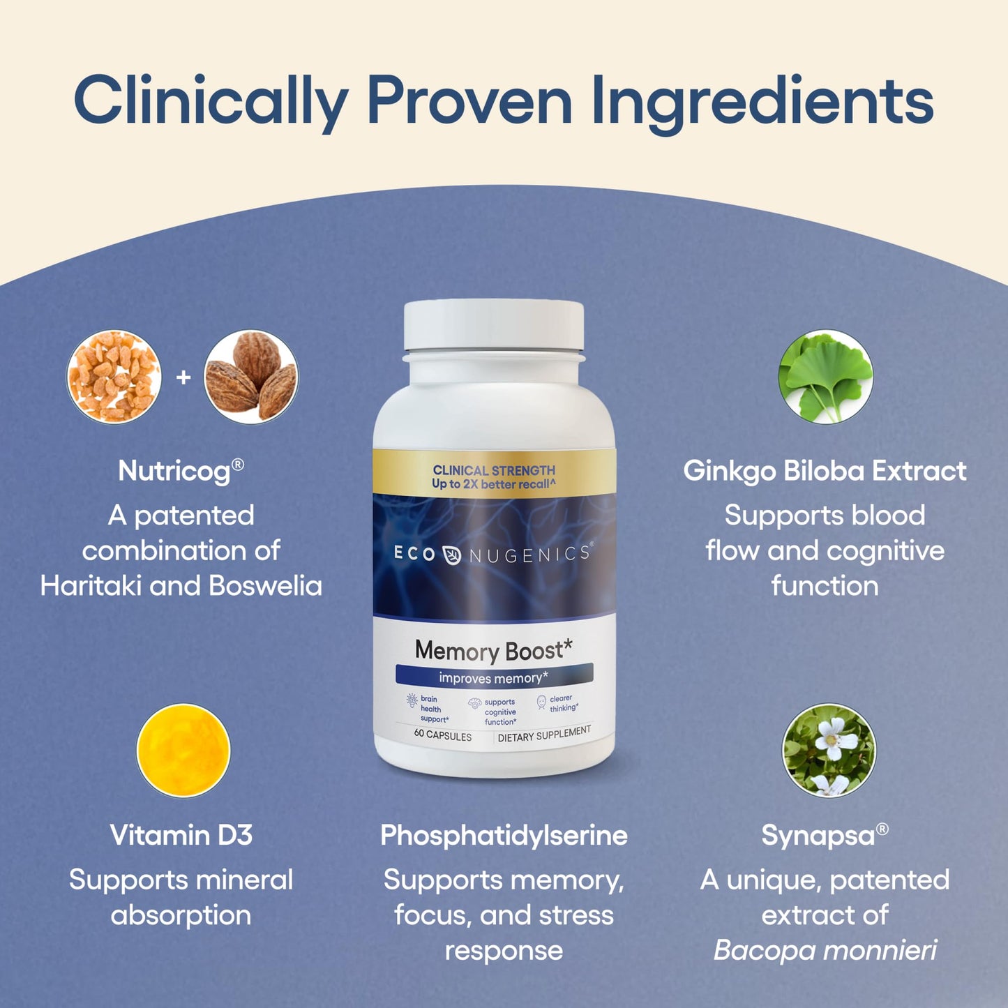 EcoNugenics Memory Boost Supplement – Clinically Studied Ingredients to Support Brain Focus & Health – Nootropic Formula with Bacopa Monnieri, Boswellia Serrata