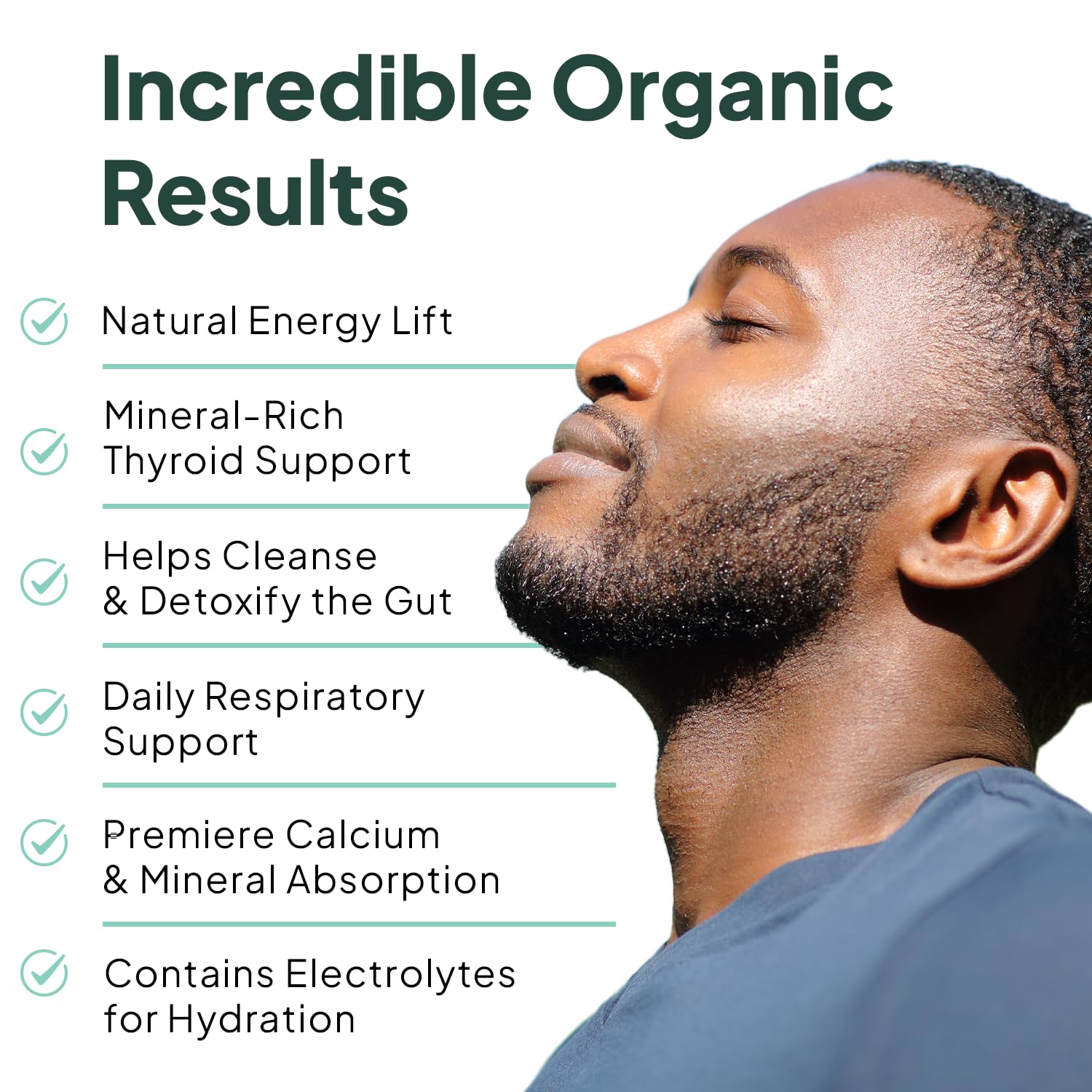 Organics Ocean Wild Sea Moss Capsules - 100% Organic Irish Sea Moss with Organic Chlorella, Bladderwrack and Vitamin D for Energy, Lung Health and Thyroid Support for Women and Men - 60 Capsules Organics OceanBuy Supplements Australia