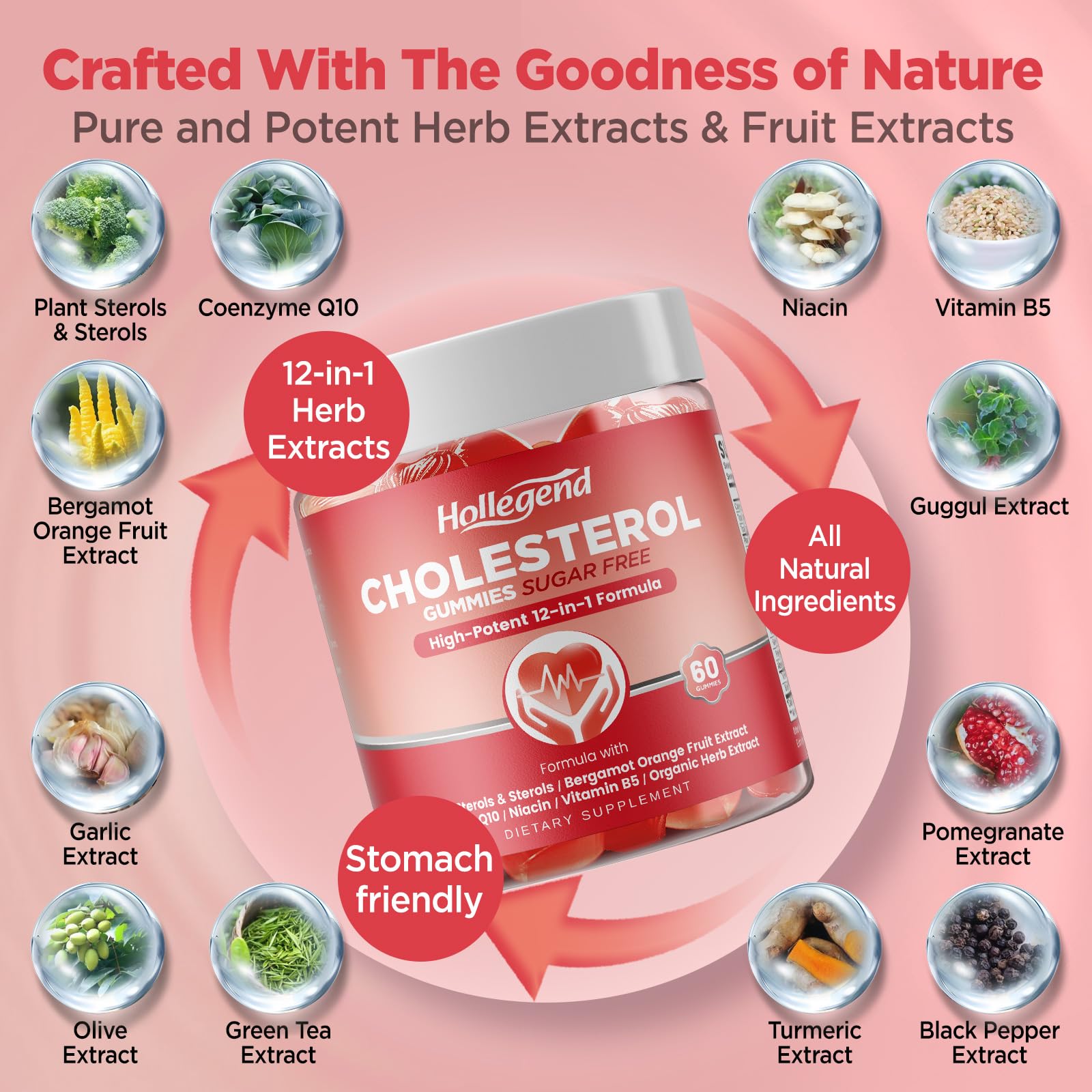 HOLLEGEND Cholesterol Gummies Sugar-Free,12-in-1 Cholesterol Supplements with Plant Sterols,Citrus Bergamot,CoQ10 and Vitamins for Cholesterol Health, Vegan, Mixed Berry Flavor, 60 Counts HOLLEGENDBuy Supplements Australia