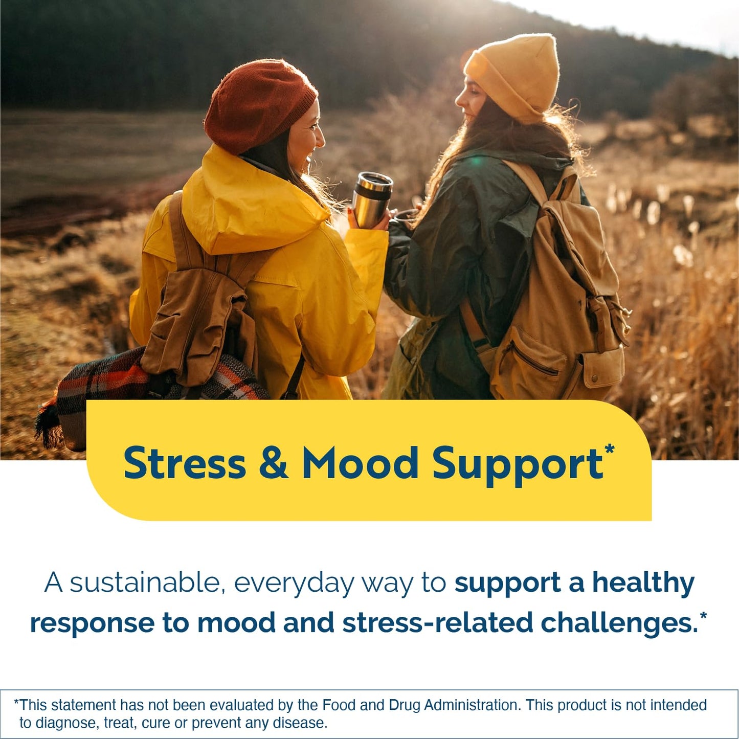 Researched Nutritionals AnxiaEase - Stress, Cortisol Management & Mood Support Supplement - Botanicals, Vitamin B6, Magnesium & 'Psychobiotic' Probiotic Strains (120 Capsules) Researched NutritionalsBuy Supplements Australia