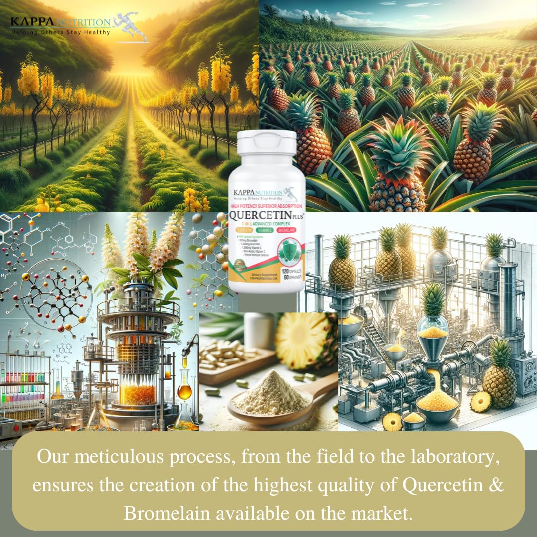 QUERCETIN PLUS, Quercetin 1,000mg, Bromelain 500mg and Vitamin C 1,000mg, (120 Capsules), 3 in 1 from Bioflavonoids, Supports Immune, Cardiovascular & Respiratory Health, Seasonal Allergy Relief. KAPPA NUTRITIONBuy Supplements Australia