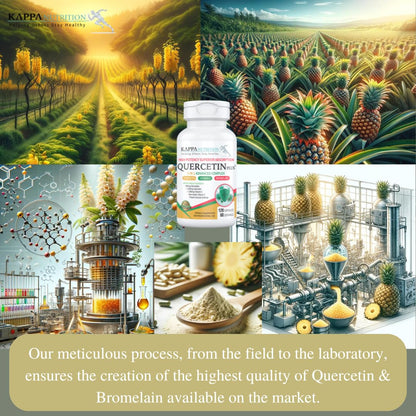QUERCETIN PLUS, Quercetin 1,000mg, Bromelain 500mg and Vitamin C 1,000mg, (120 Capsules), 3 in 1 from Bioflavonoids, Supports Immune, Cardiovascular & Respiratory Health, Seasonal Allergy Relief. KAPPA NUTRITIONBuy Supplements Australia