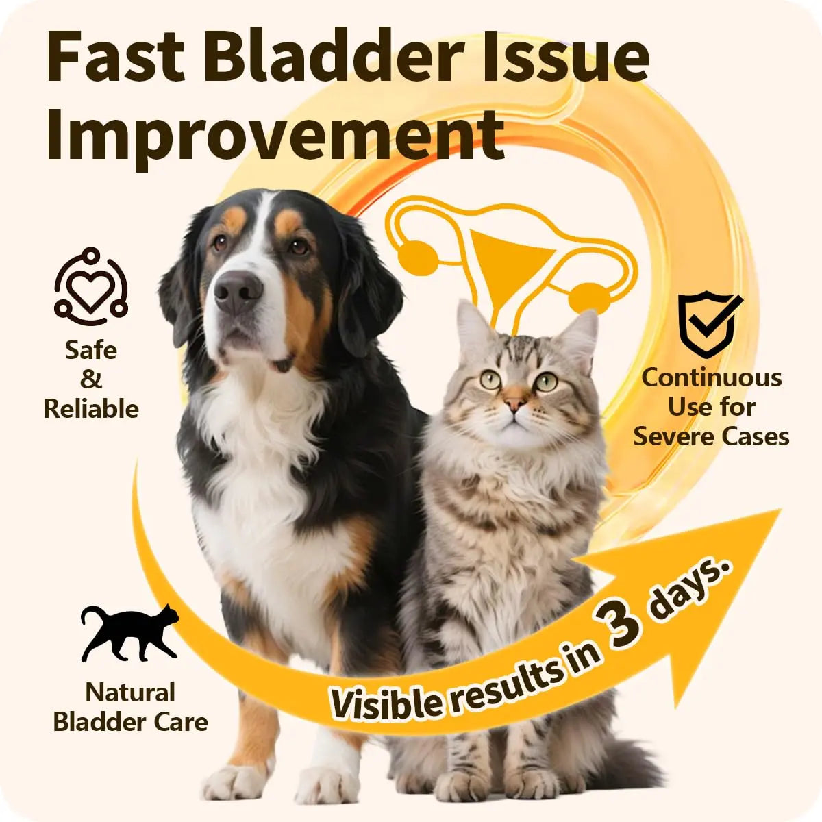 Cassiel Pet Bladder Supports Chews for Urinary Tract Health, Infection Treatments, Bladder Health, Dog UTI, Bladder Stones, Incontinence Support, Urinary Pain Relief for Cat & Dog 10 Chews (1 Bottle) Cassiel petBuy Supplements Australia