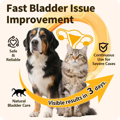 Cassiel Pet Bladder Supports Chews for Urinary Tract Health, Infection Treatments, Bladder Health, Dog UTI, Bladder Stones, Incontinence Support, Urinary Pain Relief for Cat & Dog 10 Chews (1 Bottle) Cassiel petBuy Supplements Australia