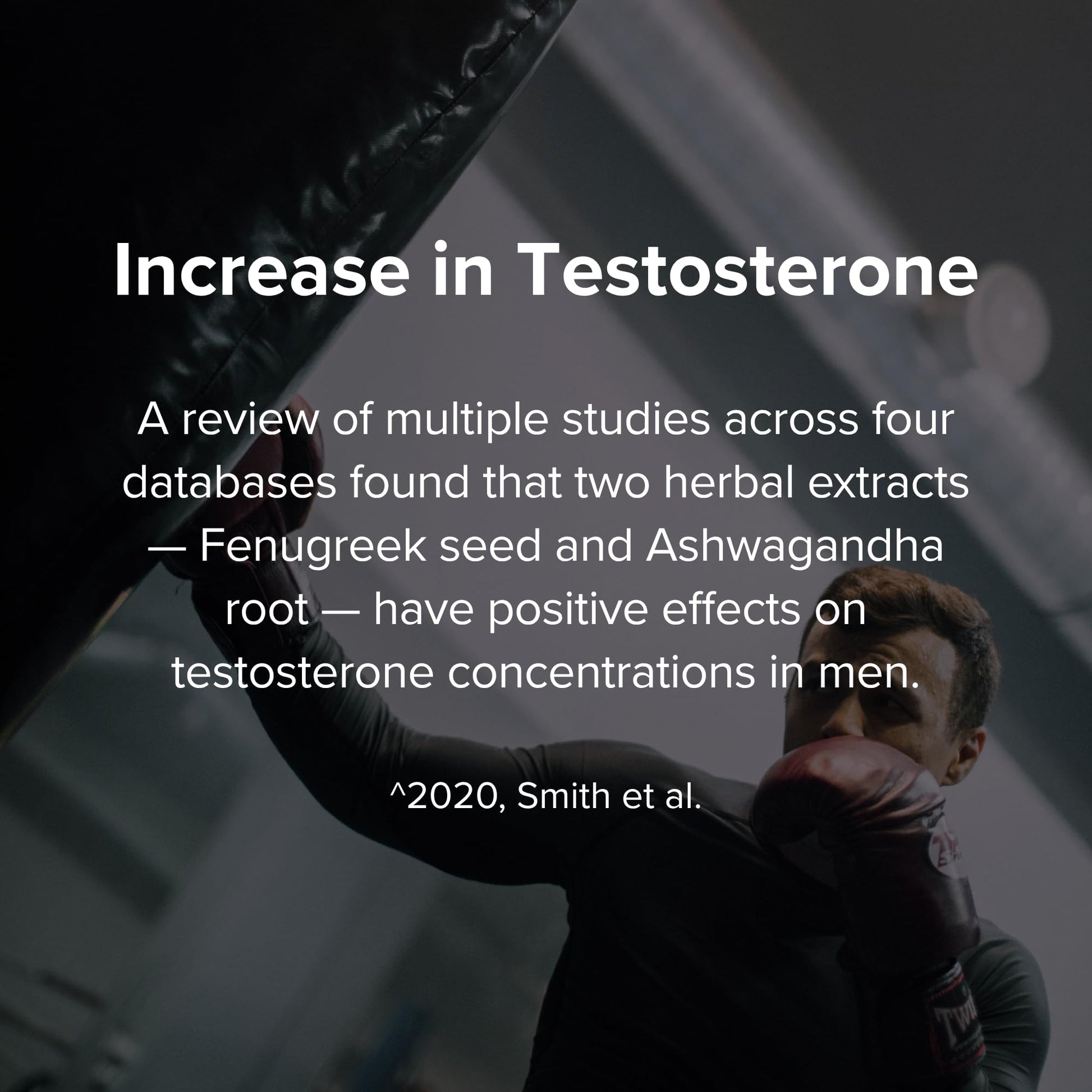 STRIVLABS Peak Potential 12-in-1 Testosterone Support for Men – Natural Strength, Energy & Muscle Builder with Tongkat Ali, Ashwagandha & Fenugreek – 90 Capsules STRIVLABSBuy Supplements Australia