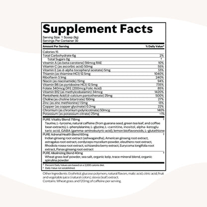 PURE Focus + Energy Tub Drink Mix | Natural Caffeine & Antioxidants from Botanicals | Supports Alertness, Clarity & Energy | Zero Sugar, No Artificial Sweeteners | 9.5 oz | Watermelon Flavor PUREBuy Supplements Australia