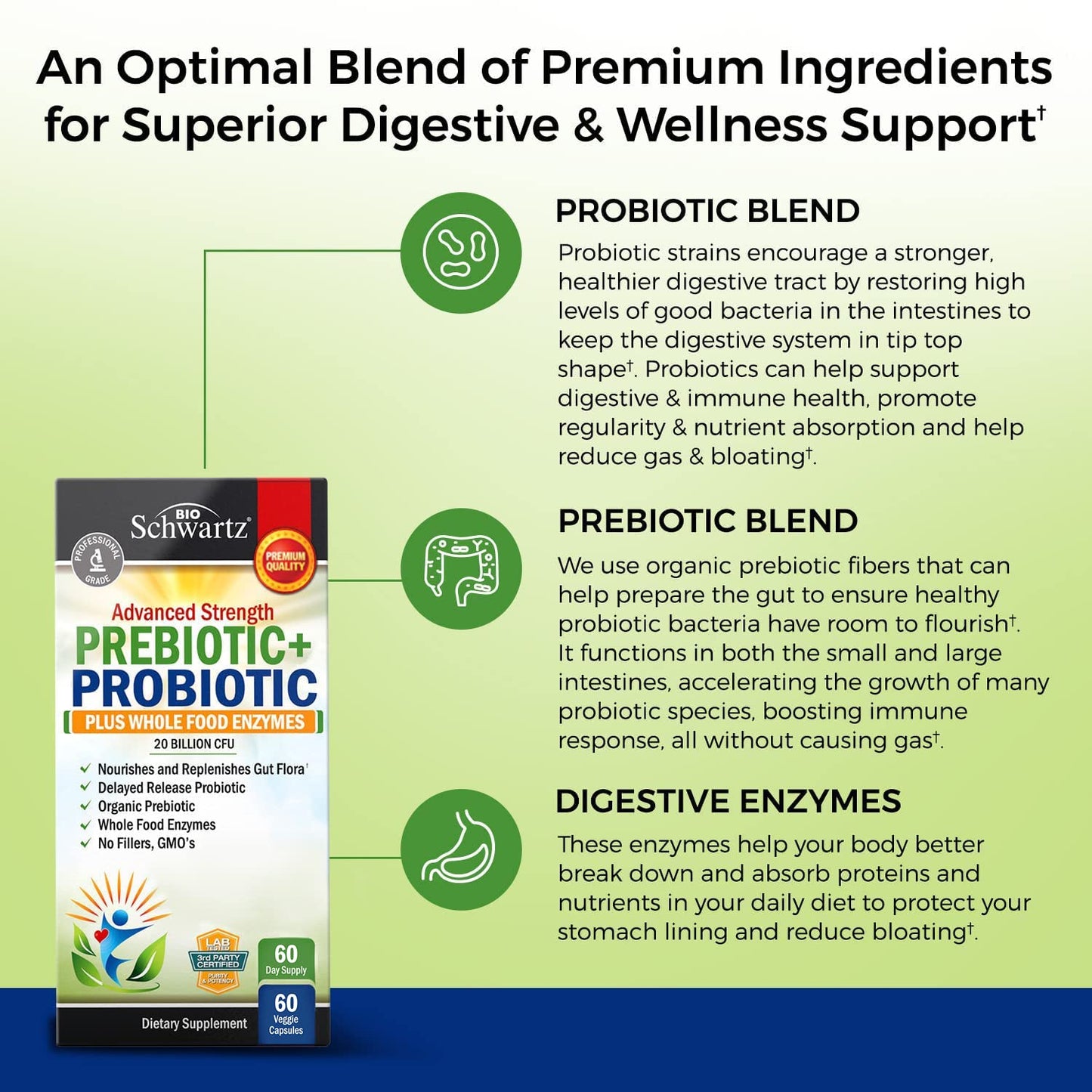 Prebiotics and Probiotic with Whole Food Enzymes for Adults Women & Men BioSchwartzBuy Supplements Australia