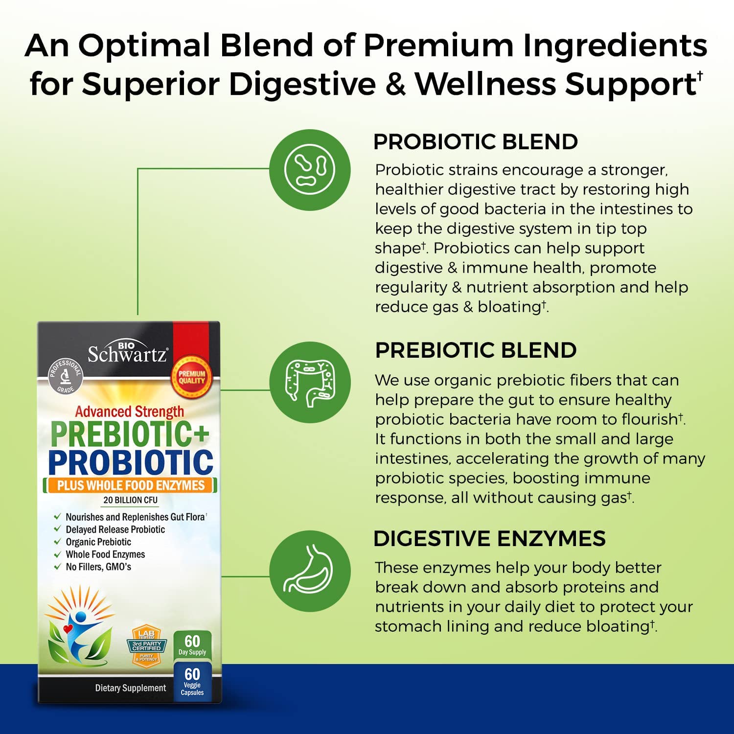 Prebiotics and Probiotic with Whole Food Enzymes for Adults Women & Men BioSchwartzBuy Supplements Australia