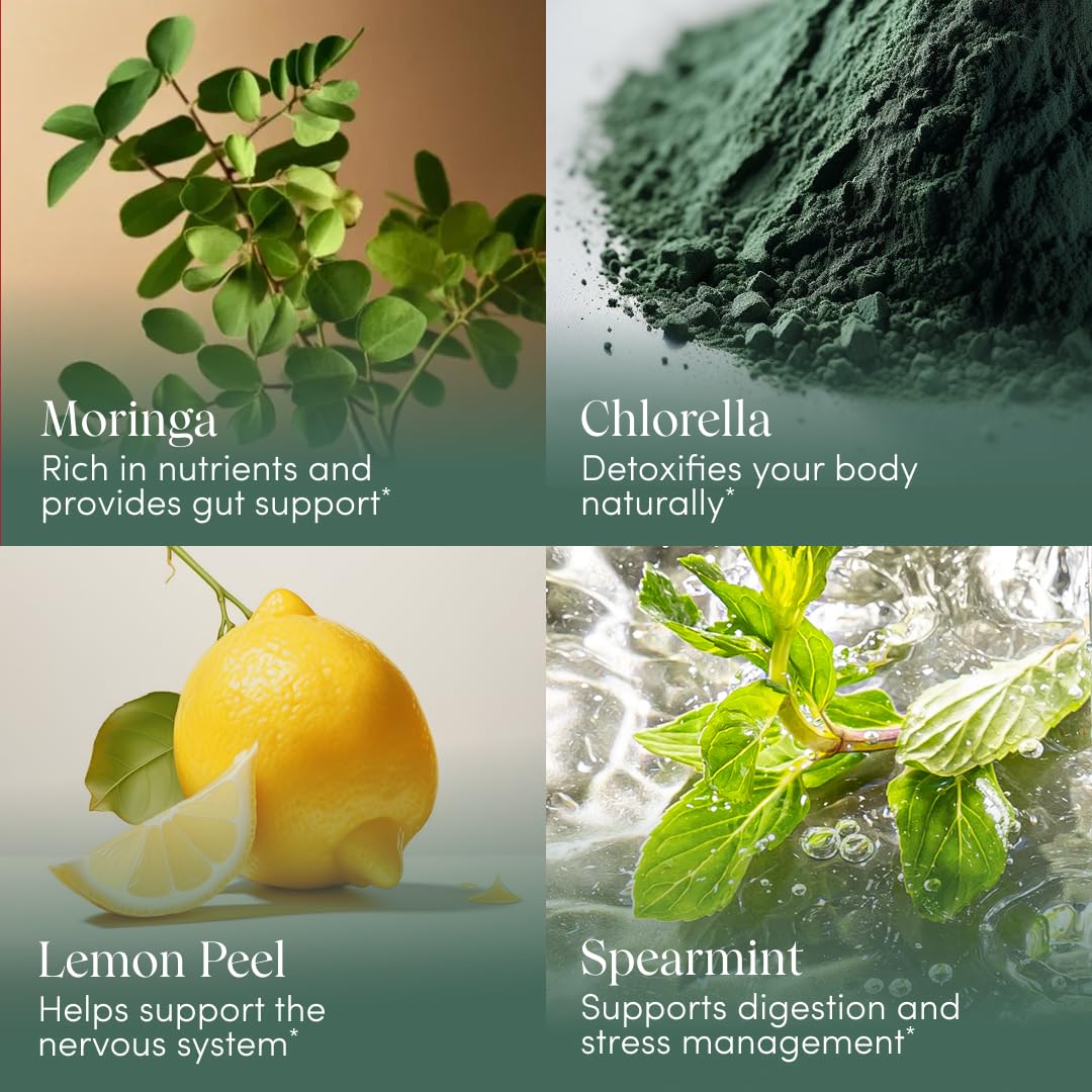 Apothékary Your Wildest Greens Herbal Liquid Drops, All-in-One Daily Superfood Supplement, Vitamin & Mineral Support, 5X Potency of Greens Powders, Sugar Free, Calorie Free, (15 Servings) 1.22oz ApothékaryBuy Supplements Australia