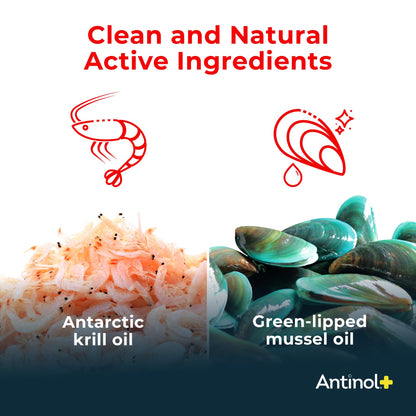 Antinol Plus, Mobility, Hip, and Joint Supplement for Cats, Green-Lipped Mussels and Krill Oil - Cat Joint Supplement, 60 Soft Gels AntinolBuy Supplements Australia