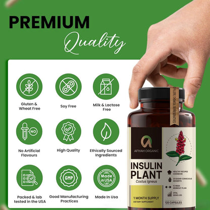 Afiyah Organic - Premium Quality Costus Igneus (Insulin Plant) Capsules - Easy to Swallow 120 Veggie Capsules (1 Month Supply) - Made in the USA - Including Complete Health Support Program Afiyah OrganicBuy Supplements Australia