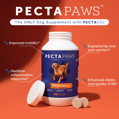 ecoNugenics PectaPaws Chewable Dog Supplements – Beef Flavor, 90 Count – PectaSol Modified Citrus Pectin + Glucosamine HCI for Dogs of All Ages, Supports Mobility, Joints, Immune Function, Pain Relief EcoNugenicsBuy Supplements Australia