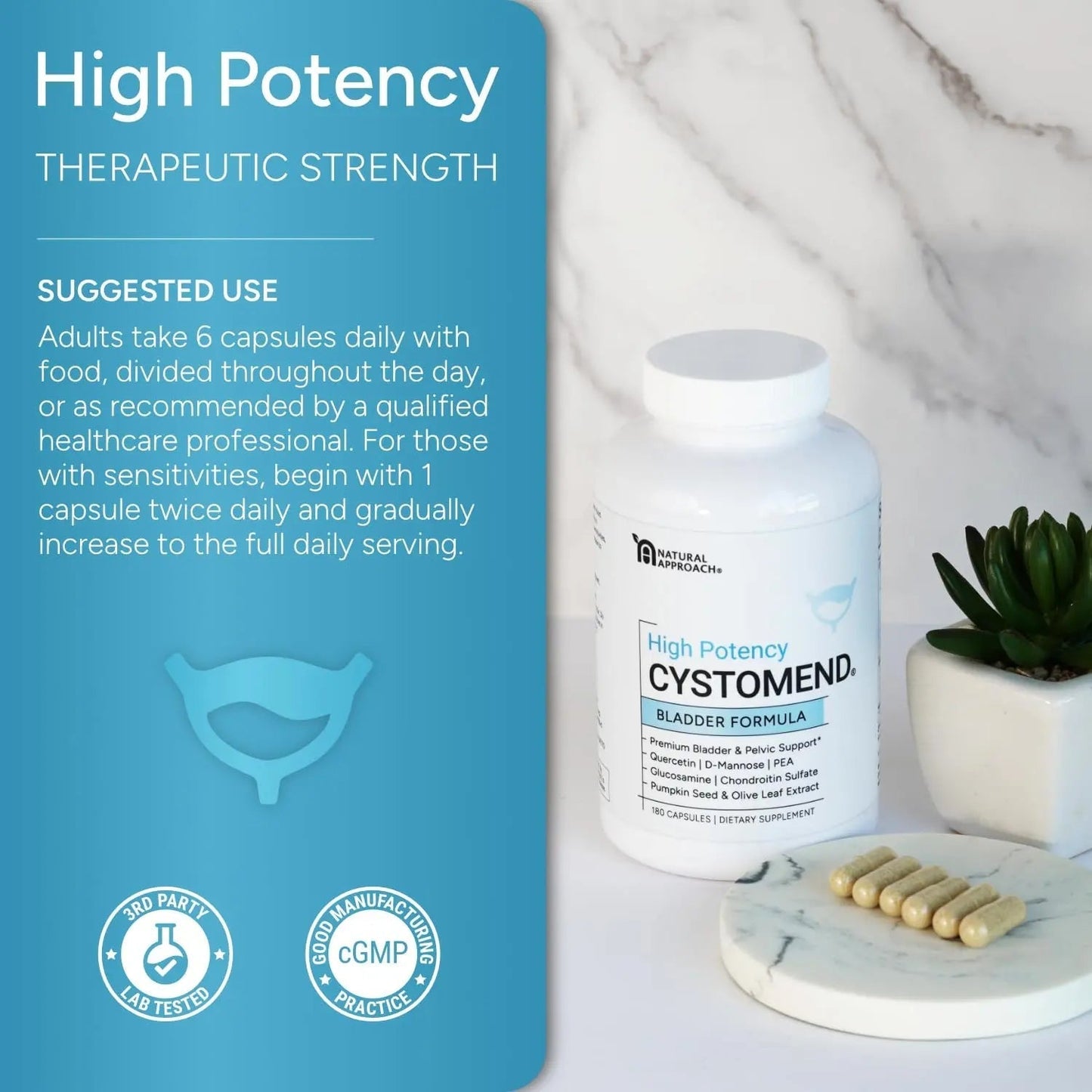 CystoMend Bladder & Pelvic Discomfort Formula (High Potency) - Supports Less Flares & Urgency* - Premium Bladder Support for Women & Men - USA Manufactured & Third-Party Tested - 180 Capsules CystoMendBuy Supplements Australia